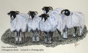 Five Swaledales, by Margaret Shaw